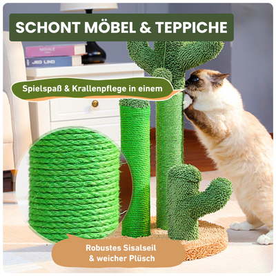 Kratzbaum in Kaktusform – Stylisch, verspielt & einfach zum Krallenverlieben