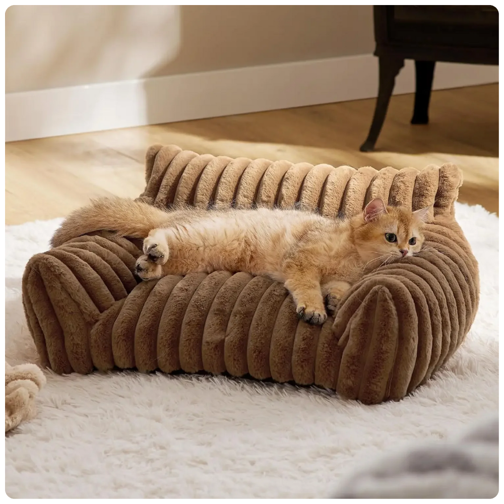 Kuscheliges Haustiersofa in Cord-Optik - Stilvoller Komfort für kleine Fellnasen