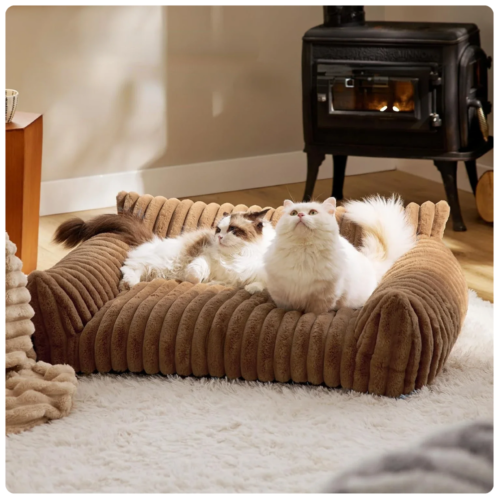 Kuscheliges Haustiersofa in Cord-Optik - Stilvoller Komfort für kleine Fellnasen