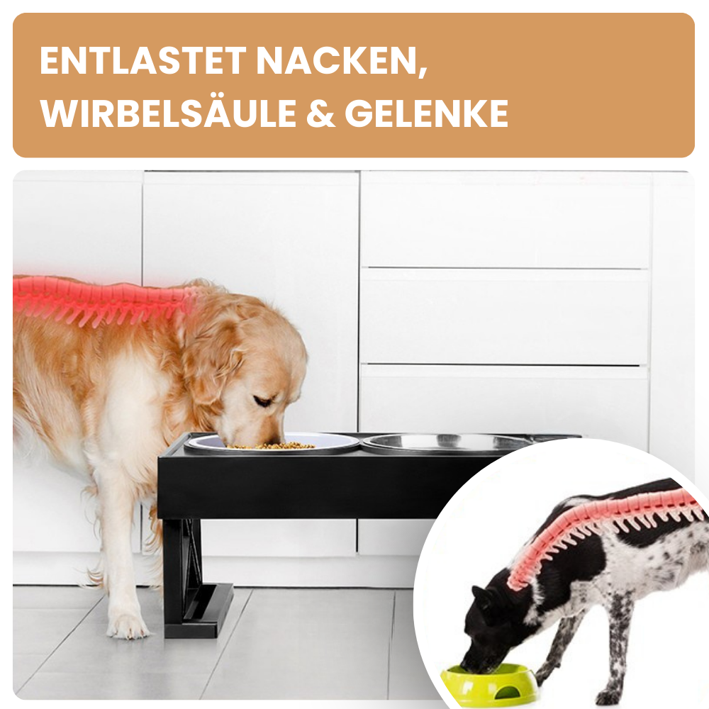 Verstellbares Futternapfgestell – Für gesunde Haltung & entspanntes Fressen