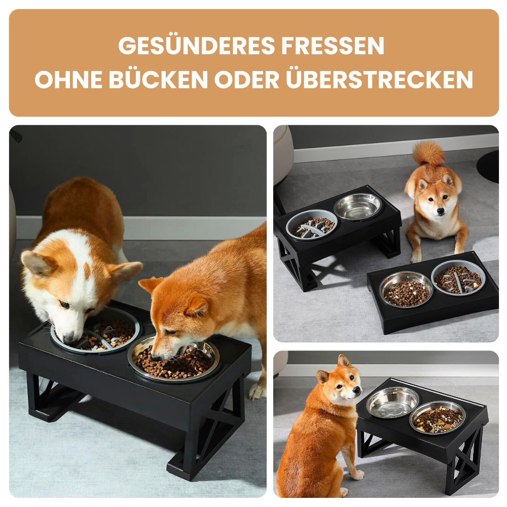 Verstellbares Futternapfgestell – Für gesunde Haltung & entspanntes Fressen