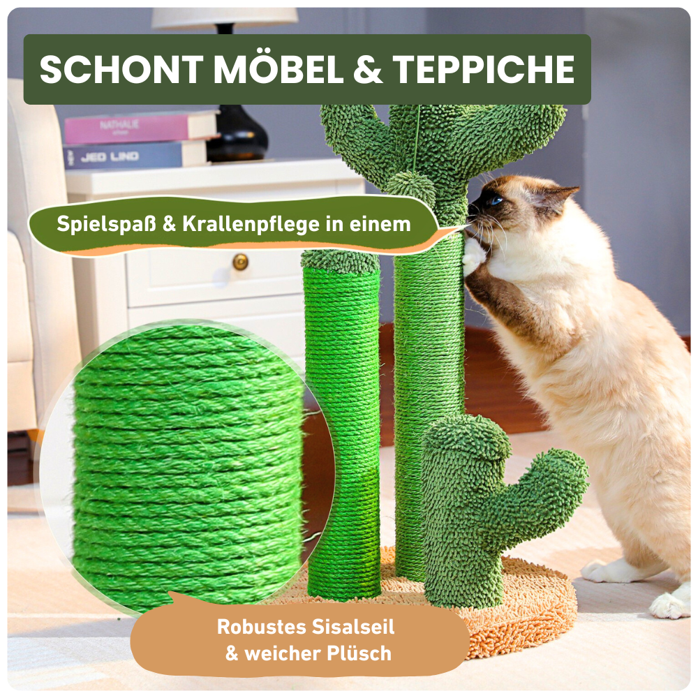 Kratzbaum in Kaktusform – Stylisch, verspielt & einfach zum Krallenverlieben