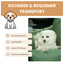 2-in-1 Tragetasche & Autositz für Hunde & Katzen – Sicher, bequem und immer dabei